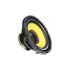 Recoil LW-10S4 25cm Subwoofer (200 Watt)
